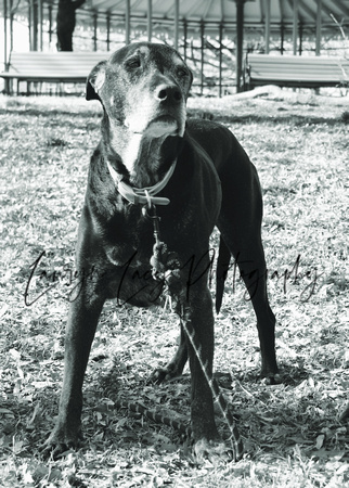 Ted Black and White